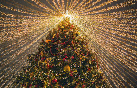 Beschmuekter_Tannenbaum