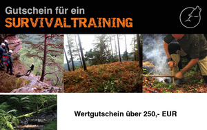 image-4266